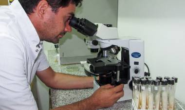 22 laboratorios de la Provincia con medidas de fuerza