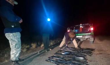 Secuestran 79 truchas y elementos de pesca en un operativo sobre la Ruta 237