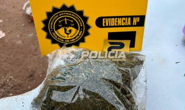 Amplio operativo antinarcóticos en distintos puntos de Neuquén