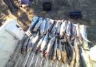 Guardafaunas detectaron actividad ilícita de pescadores en Piedra del Águila