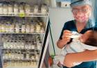 El Banco de Leche Humana de Neuquén atraviesa un periodo de baja en las donaciones y realiza una cadena de urgencia de donación 