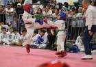 Comenzó el 35° Campeonato Argentino de Taekwondo ITF en Santiago del Estero 