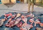 Interceptaron más de mil kilos de carne transportada de forma ilegal