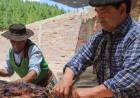 Tercera Fiesta Provincial del Asado con Cuero