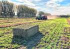 NEUQUEN La Patagonia Norte presenta la “EXPO ALFA”: Un evento para potenciar la producción de alfalfa