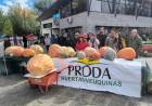 Conocé a los ganadores del concurso Ciudad Zapallo