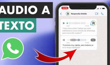 Cómo pasar a texto los audios de WhatsApp, paso a paso