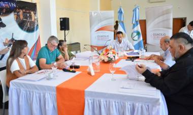 El Concejo Deliberante de Cutral Co aprobó con las modificaciones para la obtención de licencias de conducir