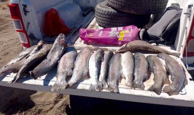 Continúan los operativos de control de pesca ilegal