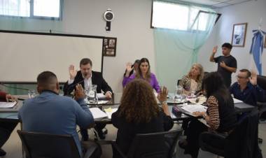 El Concejo Deliberante de la ciudad de Plaza Huincul aprobó las siguientes Ordenanzas