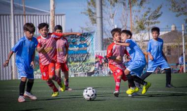 Torneo Infantil/Juvenil De Futbol Infantil 