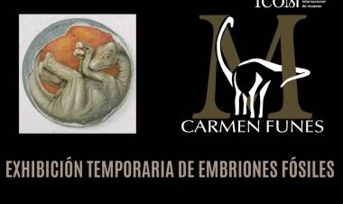 Día Internacional de los Museos. 