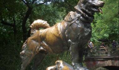 La trágica historia de Chonino, el ovejero alemán héroe por el que se celebra el Día Nacional del Perro