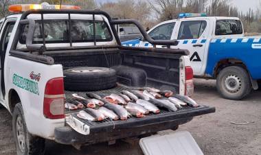 Fauna infraccionó a pescadores e incautó 30 truchas