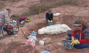 Un nuevo dinosaurio en la provincia del Neuquén 