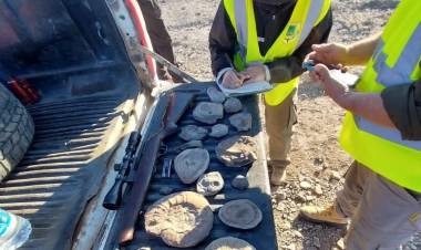Secuestran armas y fósiles amonites en el Norte de Neuquén 