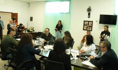 El Concejo Deliberante de la ciudad de Plaza Huincul aprobo las siguientes disposiciones: