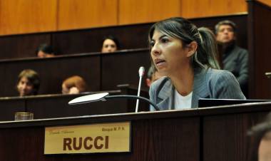 Quieren habilitar la participación de diputados y diputadas de manera virtual en las comisiones