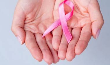 Investigadoras del Conicet avanzan en métodos para la detección temprana del cáncer de mama