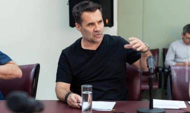 La comisión de Energía firmó despacho a un proyecto de Darío Martínez por el precio de las garrafas