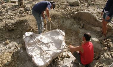 LAS LAJAS Descubren el Primer "Iguanodonte" de Sudamérica