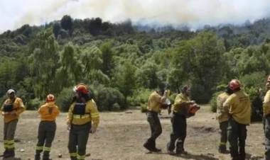 Primer Encuentro Binacional de Riesgo y Emergencias en Incendios Forestales