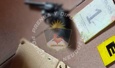 Secuestran armas de fuego y municiones en allanamientos 