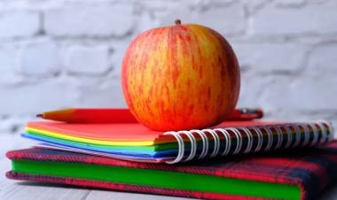 ¿Por qué una provincia argentina repartió 2,5 millones de manzanas a alumnos?