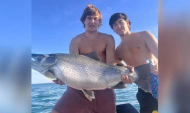 Navegaba con amigos en el Mari Menuco, tiró la caña y de casualidad sacó una trucha gigante