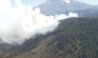 Incendio Valle Magdalena – zona centro del Parque Nacional Lanín