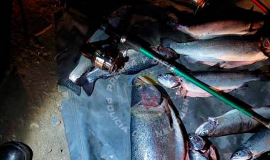 Secuestran Truchas y elementos de Pesca 