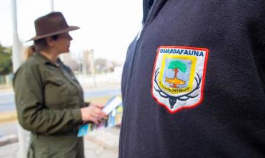 Fauna incautó carne de ciervo colorado no apta para su comercialización