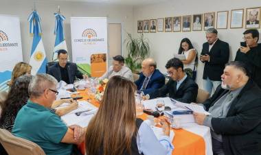 Continuo la primera Sesión Ordinaria año 2025