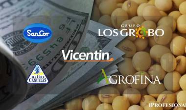 Vicentin, Los Grobo, SanCor y otras: ¿por qué en el granero del mundo quiebran sus naves insignia?