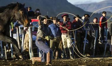 Fin de semana: Campeonato de asadores, vendimia, destrezas criollas y muestra ganadera