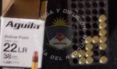 Intento de robo y hallazgo de arma de fuego en zona rural 