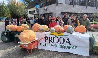 Conocé a los ganadores del concurso Ciudad Zapallo