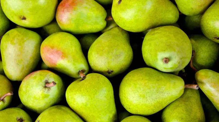 China comenzó a enviar peras a la Argentina y los exportadores de Río Negro y Neuquén piden las mismas reglas de juego