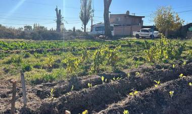 Escándalo en una ciudad de la Patagonia: tuvo sexo con una compañera de trabajo en la Municipalidad, lo descubrieron y lo echaron