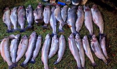 Decomisan 26 truchas y elementos de pesca ilegal 