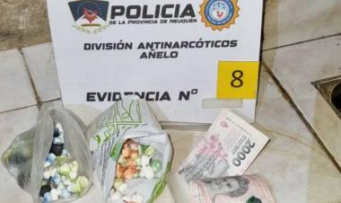 La Policía desbarató una banda que vendía drogas en San Patricio del Chañar