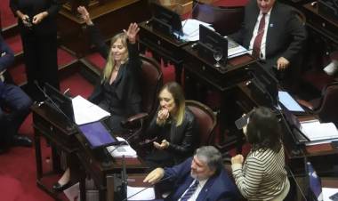 Senado: presentaron un proyecto para repatriar el 50 porciento los fondos de funcionarios declarados en el exterior