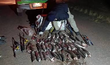 Secuestraron 57 piezas de truchas y percas en operativos nocturnos por pesca furtiva