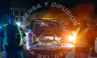 Operativo defecto especies protegidas y exceso de ruchas 