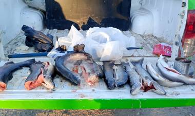 ¡Operativo Provincial de Guardafaunas: Seguridad y Cuidado de Nuestra Fauna Silvestre! 