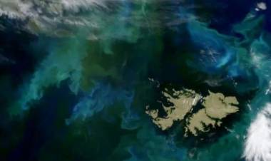 La OEA reafirmó su apoyo al reclamo argentino en referencia a la soberanía sobre las Islas Malvinas