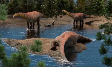 Descubren en Añelo una nueva especie de dinosaurio saurópodo de 18 metros
