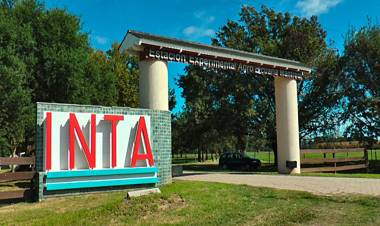 La venta de casi 70 mil hectáreas, otro objetivo del Gobierno en la intervención y desguace del INTA