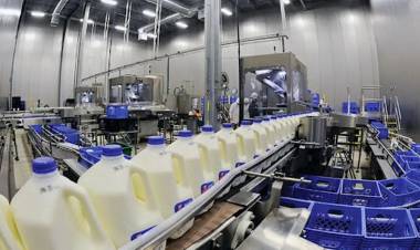 Cuál es la empresa extranjera que derrotó a La Serenísima como líder de la industria láctea