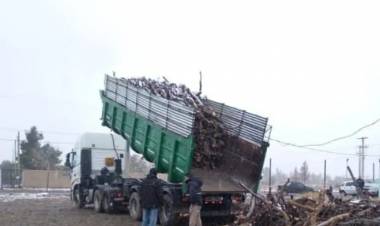 En la provincia de Vaca Muerta Neuquén reforzó la entrega de leña en barrios de la capital